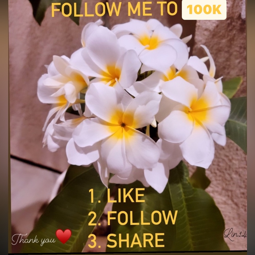 FOLLOW, LIKE & SHARE. I WILL DO THE SAME ♥️